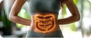 Ilustração do intestino sobre o corpo